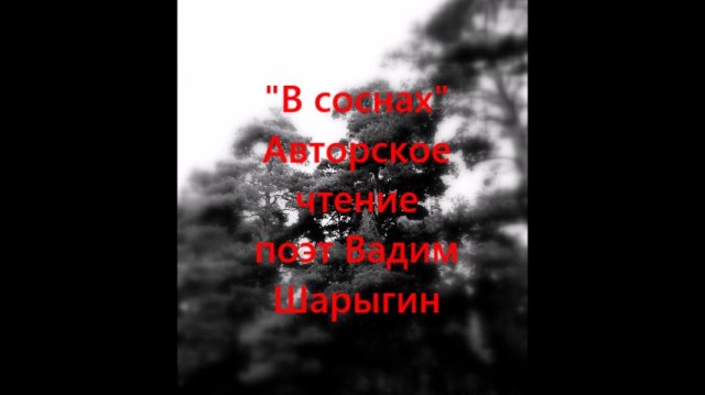 В соснах. Вадим Шарыгин. Авторское чтение