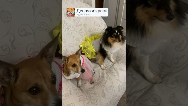 FB_VID_791541139364243588.mp4