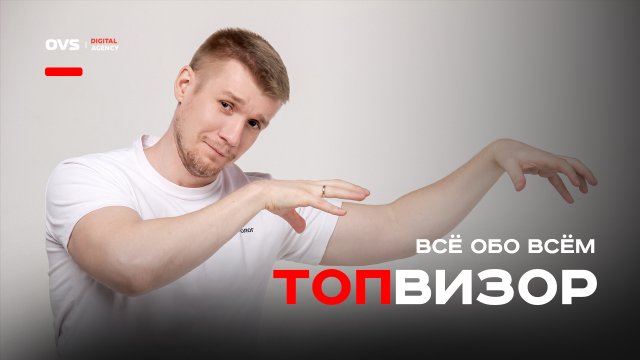 ТОПвизор - что это такое и как пользоваться? Как эффективно отслеживать SEO продвижение?