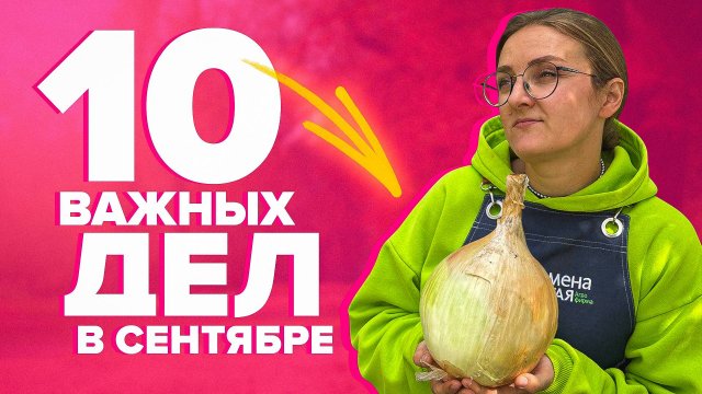 Десять работ в сентябре