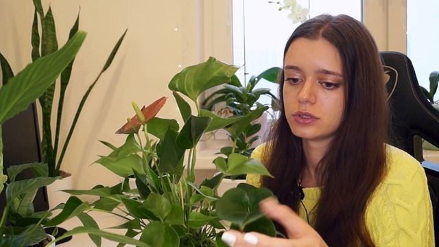 МОЯ КОЛЛЕКЦИЯ РАСТЕНИЙ ?Обзор комнатных цветов 2021?