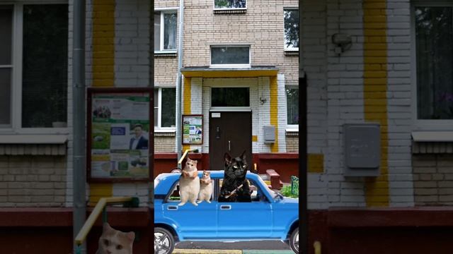 история друзей