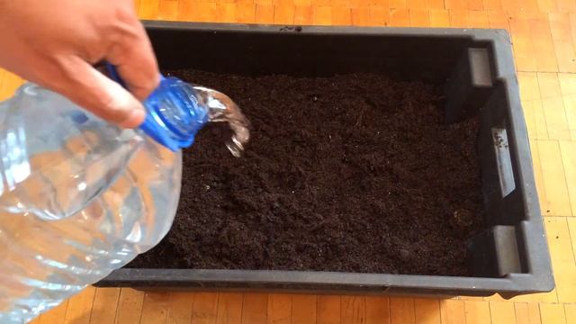 Подготовка Субстрата Почвы для Заселения Червей С Чего Начать Разведение Червей Дома Торф для Черве