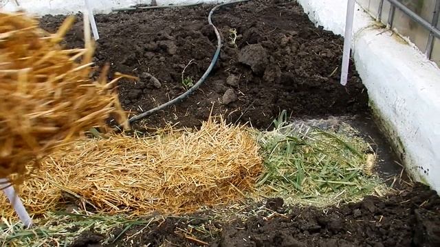 Как легко и дешево улучшить почву в теплице ?