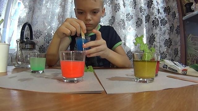 Опыты. Как растения пьют воду. Веселые эксперименты.