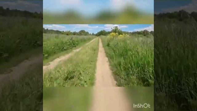 Покатушки на велосипедах по бездорожью