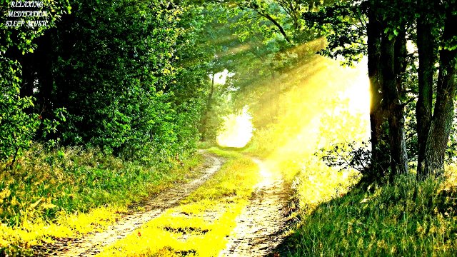 ?Красивая Соловьиная Песня. Щебетание Весенних Птиц. Утренний лес с пением птиц.Звуки Дикой Природы