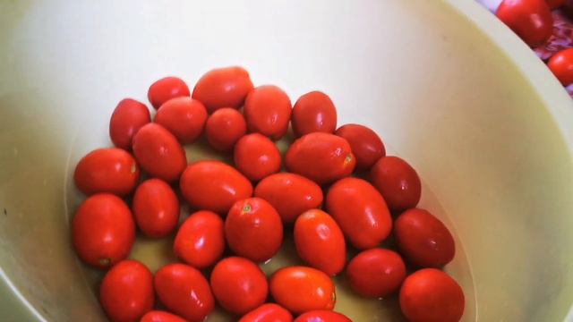 232 Переезд с севера на юг из города в деревню / 4 ведра помидор / Картофеля не будет / Влог