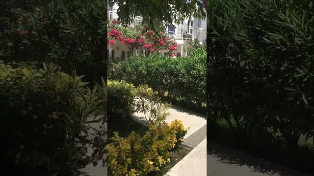 Отель Petunya Beach Resort