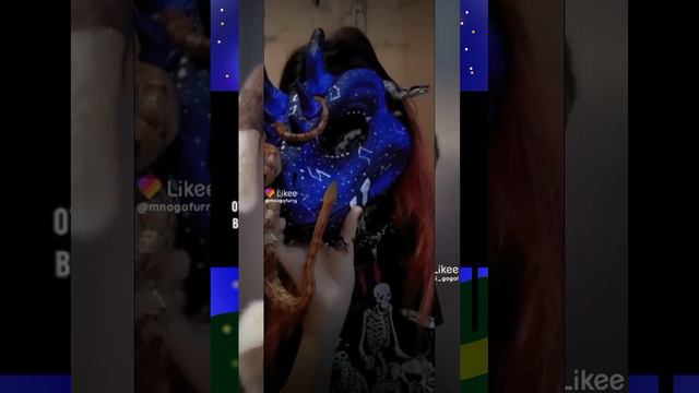 🌸рапторы и фурри из лайка🎉 (не мои) сорри за качество(((