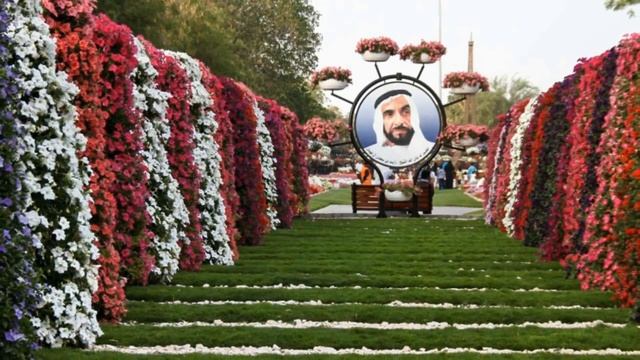 Отдых в ОАЭ  Какой эмират выбрать, ч 1