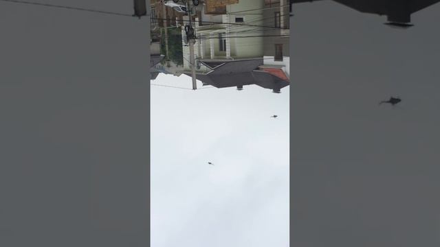 Крым.Симферополь.район Ак-Мечеть.Crimea Simferopol