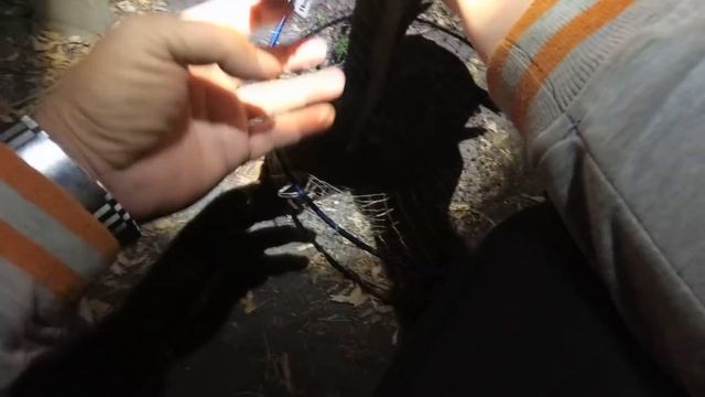 СЕКРЕТЫ ЛОВЛИ КАРПА В СЕНТЯБРЕ