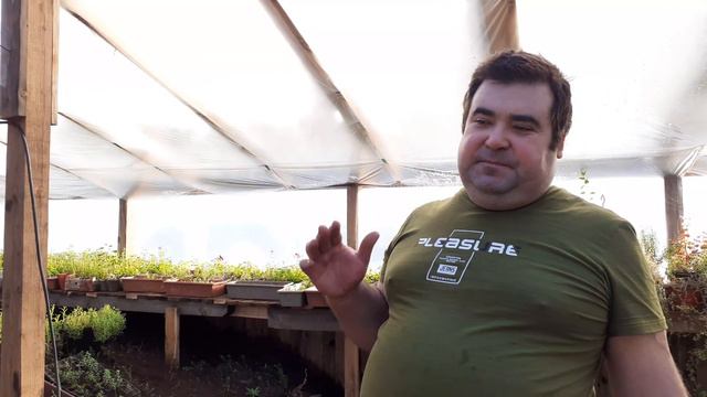 Застой воздуха в зимней теплице, решение проблемы.