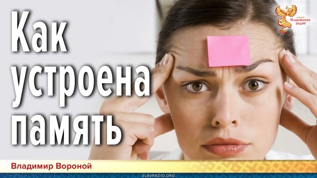 Как устроена память. Практики тренировки памяти