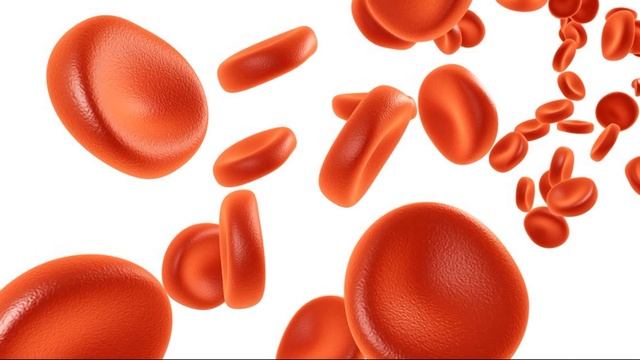 ЛЕЙКОЦИТЫ КРОВИ | Почему уровень лейкоцитов в крови понижен и что с этим делать