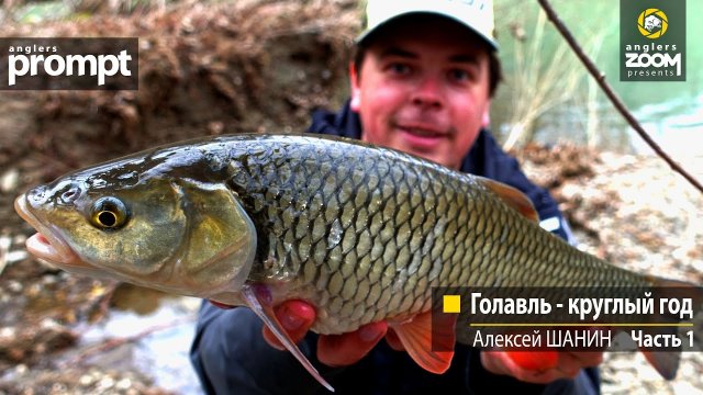 Голавль - круглый год. Алексей Шанин Часть 1