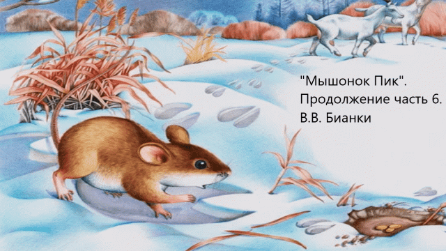 "Мышонок Пик". Продолжение часть 6. В.В. Бианки. Живое чтение
