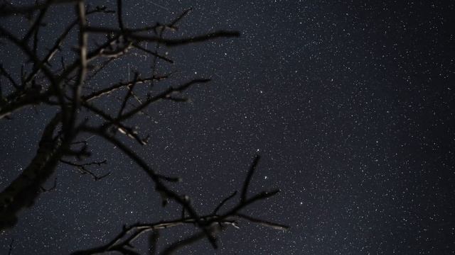 Stargazing (Official Music Video) - Andrew Fletcher