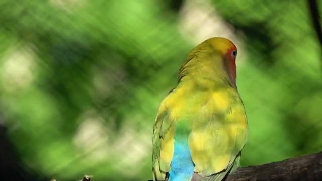 Музыка для лечения сердца и нервной системы ? Нежная музыка для души и жизни