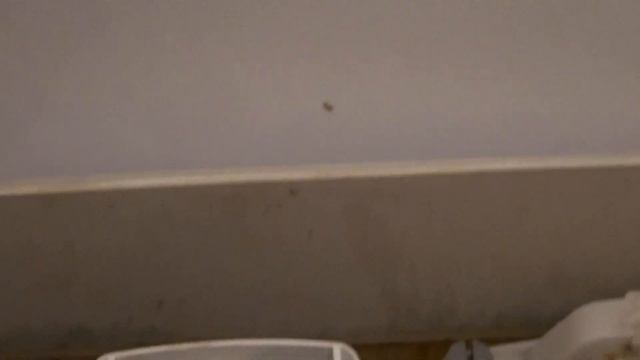 Быстро и эффективно чистим систему подачи воды в бачке унитаза.