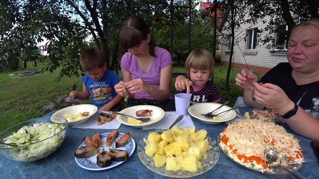 мукбанг с рыбкой/атака мух