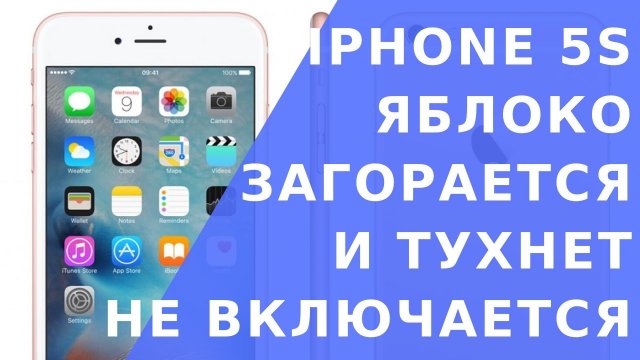 Айфон 5s не включается что делать. Айфон загорается яблоко и тухнет