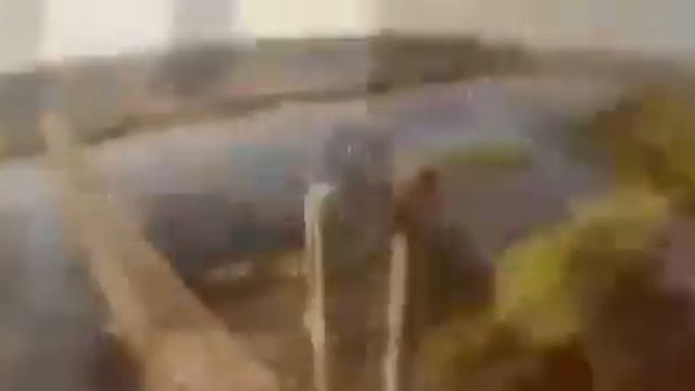 Песня про Россию Украину и Беларусь
