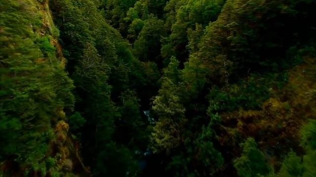 Планета Земля (1080p HD)