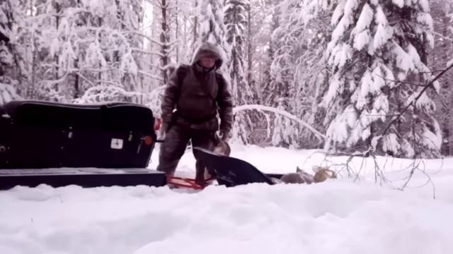 Промысловая охота на Русском Севере, добыча пушнины.