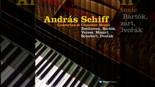 Piano Trio No. 2 in E-Flat Major, Op. 100, D. 929: II. Andante con moto