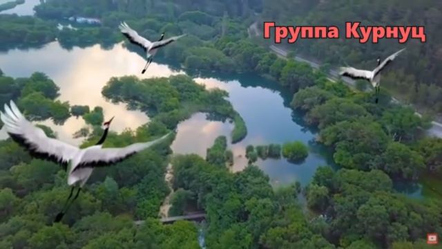 Журавли