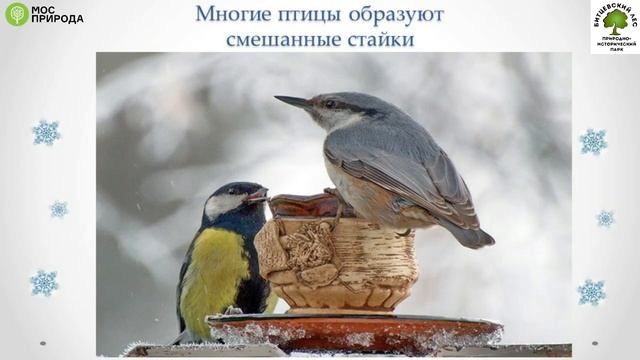 Лекция Что происходит в природе зимой