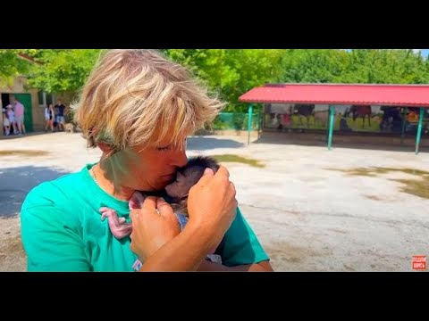 Кипер Леокадия рассказывает КАК СПАСАЛА ЛЮСЮ от стаи разъярённых гамадрил!