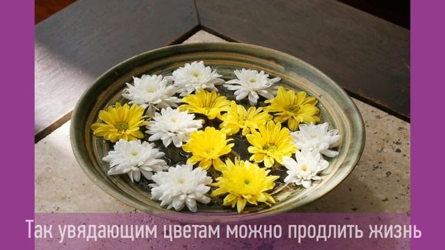 Как оформить дом цветами - 10 идей