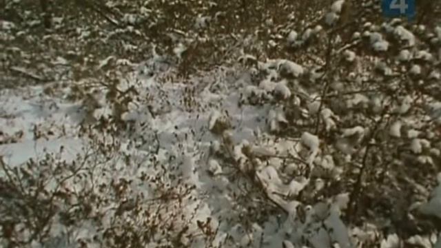 Варлам Шаламов. Несколько моих жизней (1990)