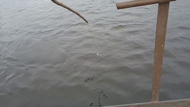 Рыбалка на паук (подьëмник) Чумовая рыбалка)))