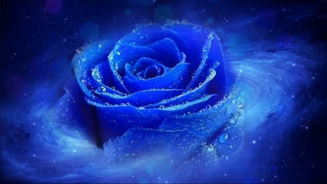17. Роза Мира. Книга 6. Высшие миры Планеты. Глава 2. Христос - Логос Планеты уж.mp4