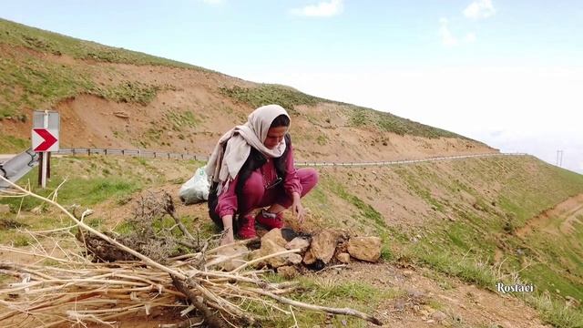Сбор горного чая и тимьяна в горах Азербайджанская Кухня Деревенская Кухня Рецепты