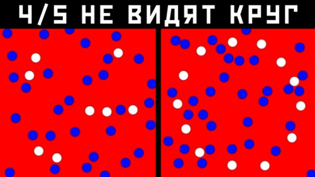 9 Фото, Которые Проверят Твой Интеллект