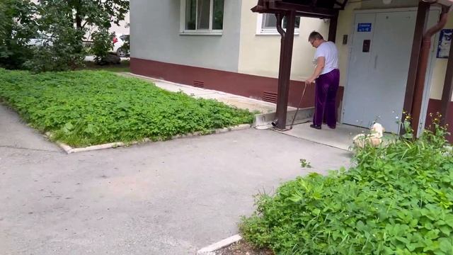 VLOG 6 – ЖИЗНЬ НА САХАЛИНЕ – Горный воздух, SPAradise, книжный клуб, ботанический сад