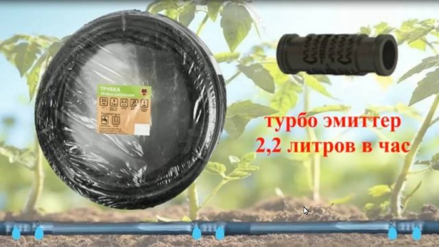 Полив капельной трубкой с субтитрами