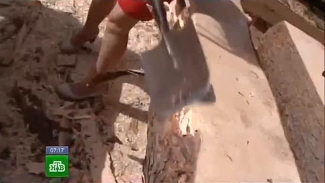 Лафет - что это такое? Дом из лафета.