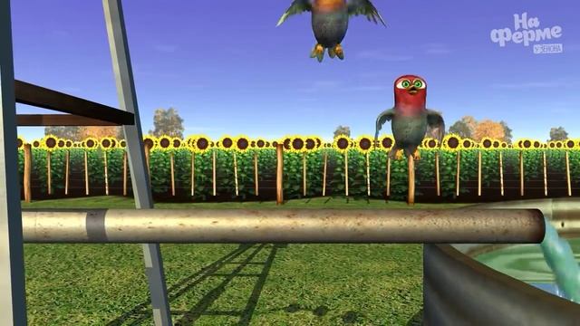 Танец маленьких утят | На ферме у Зенона