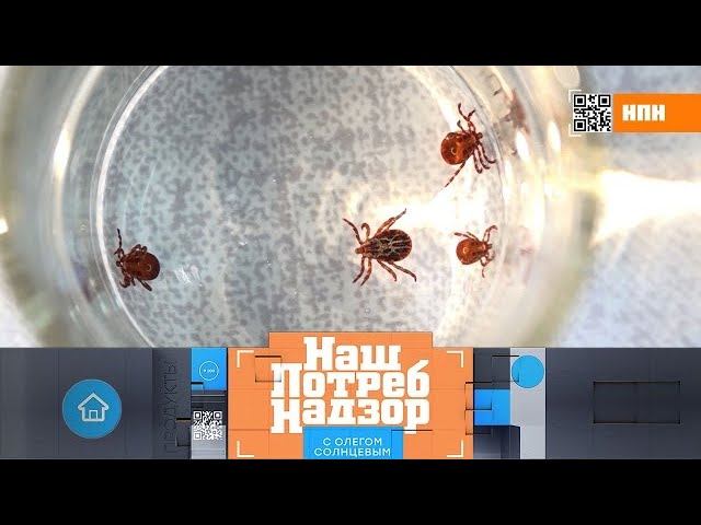 Защита от клещей-мутантов, лечение содой и очистка серебра дома ("НашПотребНадзор" 07.06.2020)