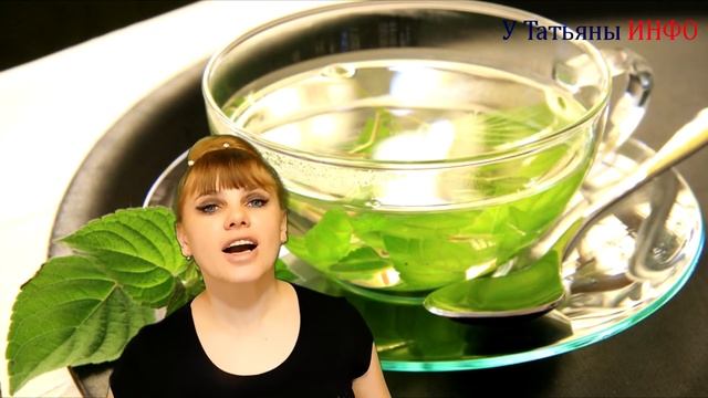 Можно ли пить чай с МЯТОЙ? Как заварить МЯТНЫЙ ЧАЙ?