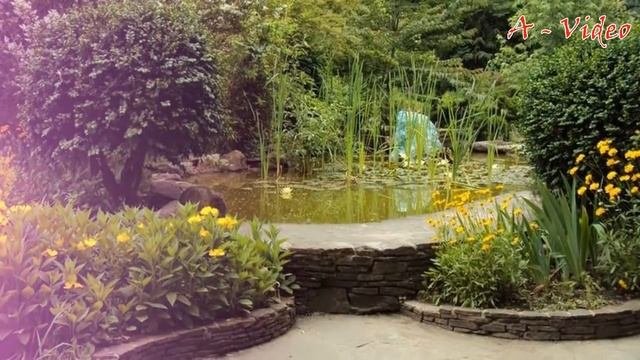 ?Оригинальные идеи для декора садового участка / The best examples of garden design / A - Video