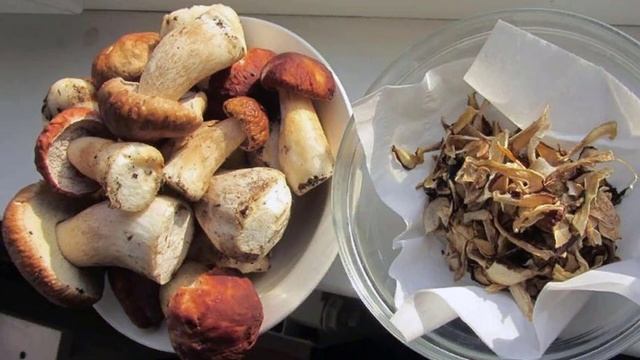 Как в домашних условиях сушить белые грибы