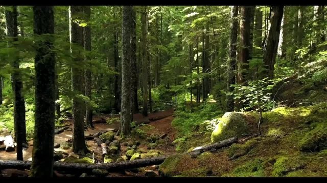 Музыка для сна и медитации #МузЛайв