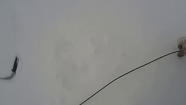 Зимняя рыбалка. Ловля на Экраны (Телевизоры)